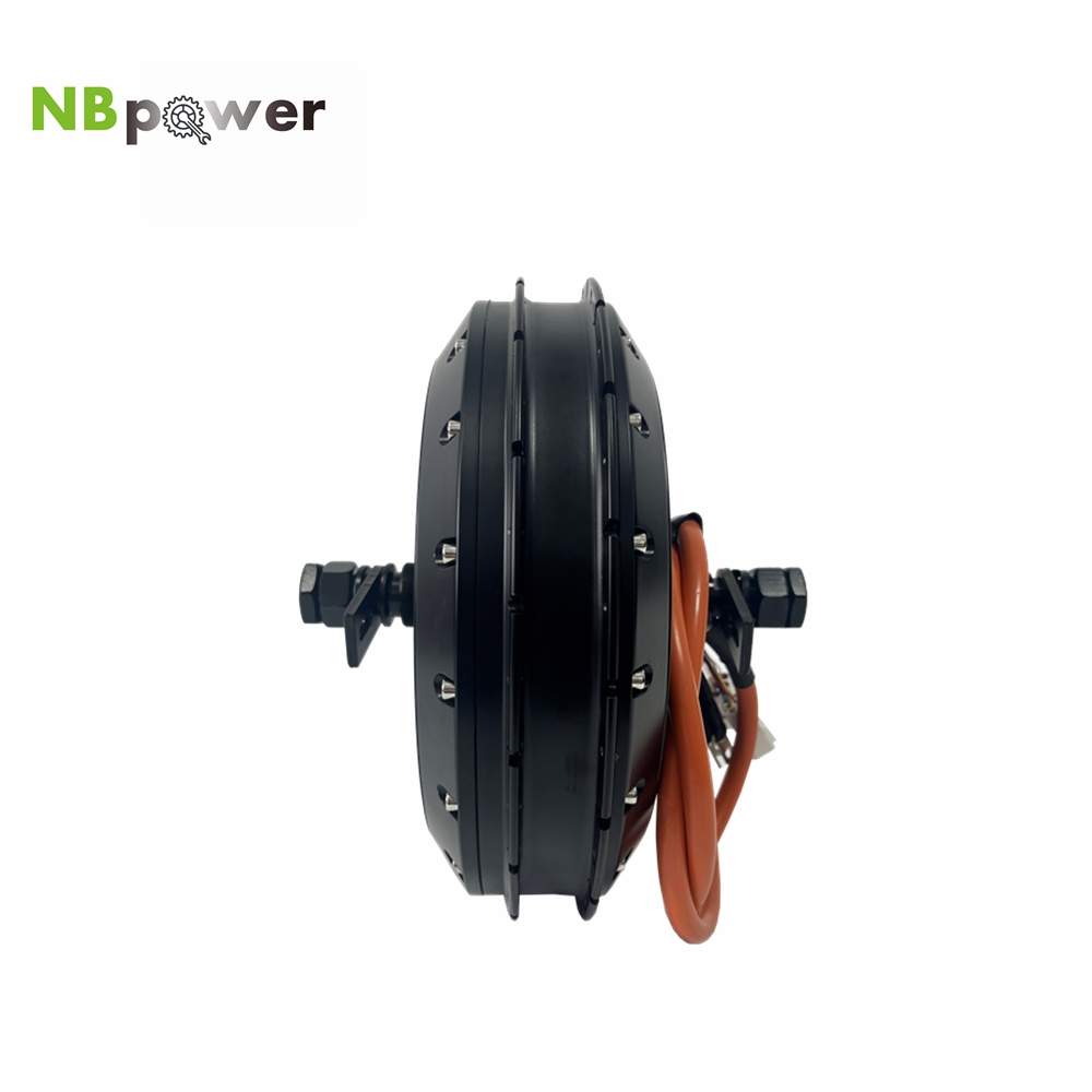 NBpower 18x22mm Axle  40H QS 2 - Qs Motor 273 8000W Hub Motor review and price